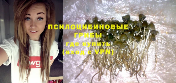Альфа ПВП Липки