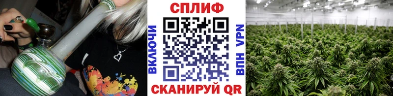 Купить закладки  Новомичуринск  Бошки Шишки Amnesia 